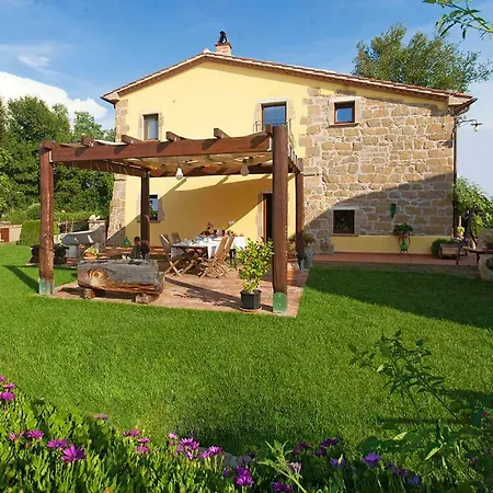 Ficolivo Couette-café