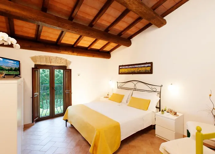 B&B Ficolivo