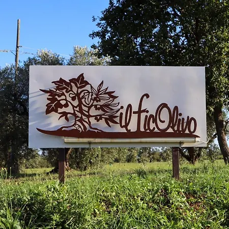 Ficolivo Bed & Breakfast